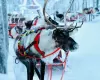 Зимняя сказка Лапландии – Путешествие за Полярный круг